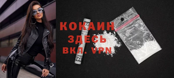 тгк Абаза