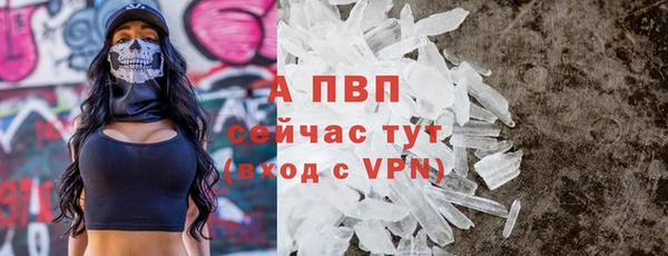 прущие грибы Зерноград