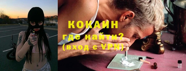 гашик Осинники