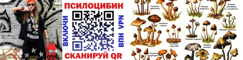 Галлюциногенные грибы мухоморы  МЕГА   Суздаль 